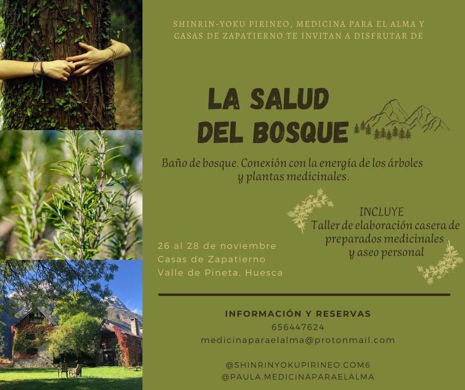 Bosque y plantas medicinales. Retiro en noviembre de 2021. Casas de Zapatierno.