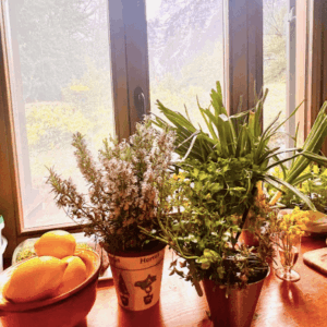 Retiro en los Pirineos: bienestar, naturaleza y cocina consciente en el Valle de Ordesa y Monte Perdido