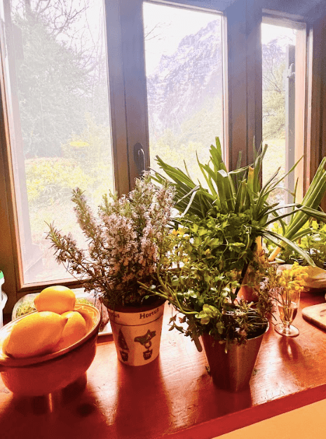 Retiro en los Pirineos: bienestar, naturaleza y cocina consciente en el Valle de Ordesa y Monte Perdido