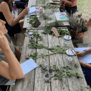Retiro en los Pirineos: bienestar, naturaleza y cocina consciente en el Valle de Ordesa y Monte Perdido
