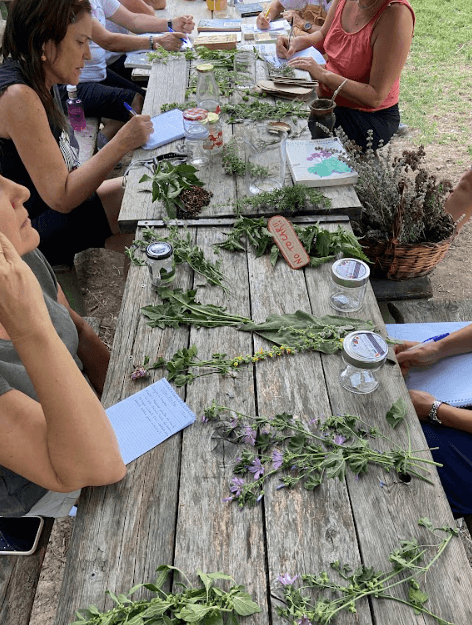 Retiro en los Pirineos: bienestar, naturaleza y cocina consciente en el Valle de Ordesa y Monte Perdido